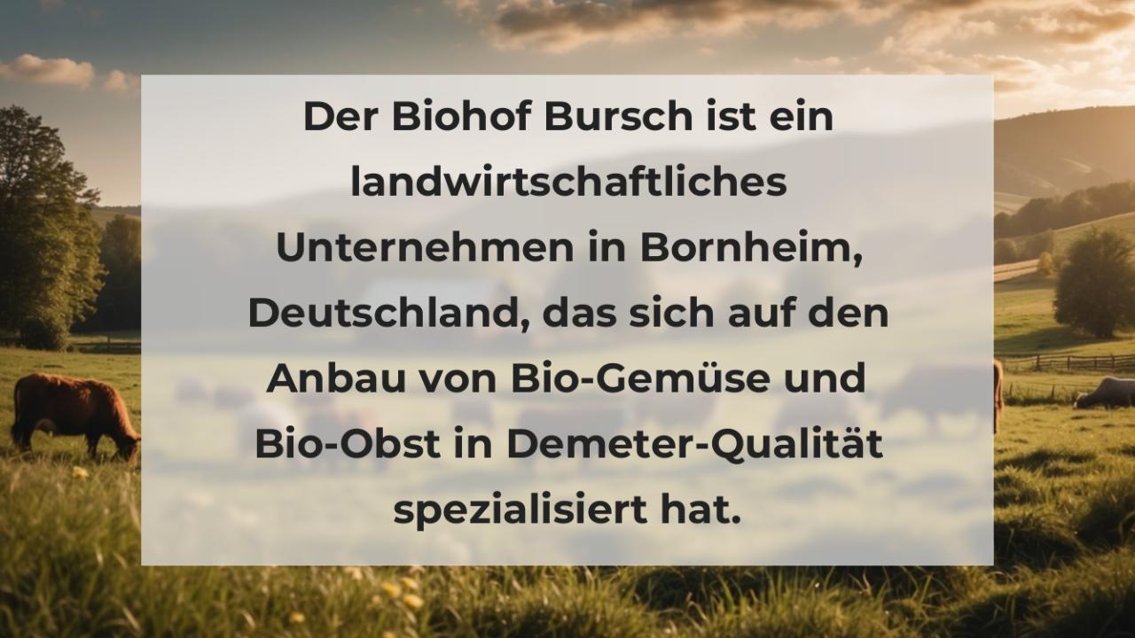 Der Biohof Bursch ist ein landwirtschaftliches Unternehmen in Bornheim, Deutschland, das sich auf den Anbau von Bio-Gemüse und Bio-Obst in Demeter-Qualität spezialisiert hat.